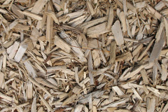 biomass boilers Penhalvean